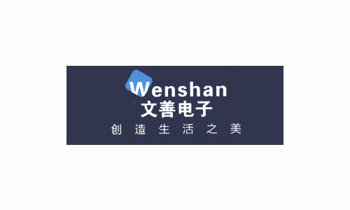 文善電子